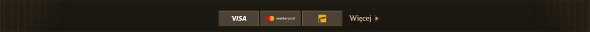Payment methods footer with Visa, Mastercard, and Maestro icons plus a “Więcej” link on a dark background.