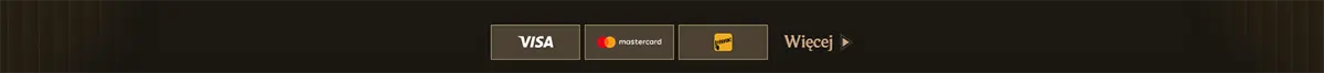 Payment methods footer with Visa, Mastercard, and Maestro icons plus a “Więcej” link on a dark background.